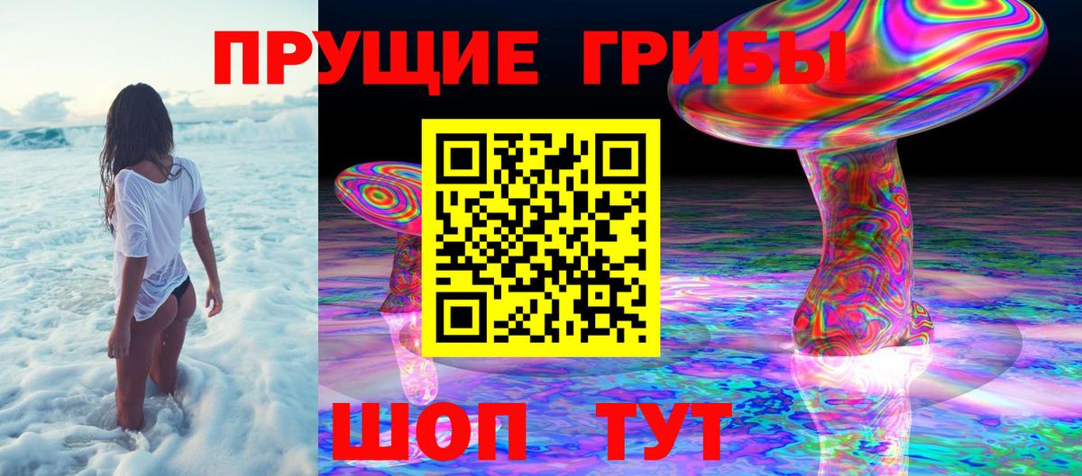 Саранск  купить наркоту  Вход с VPN  Псилоцибиновые грибы Psilocybe  Псилоцибиновые грибы MAGIC MUSHROOMS 